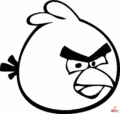 Angry Bird 8