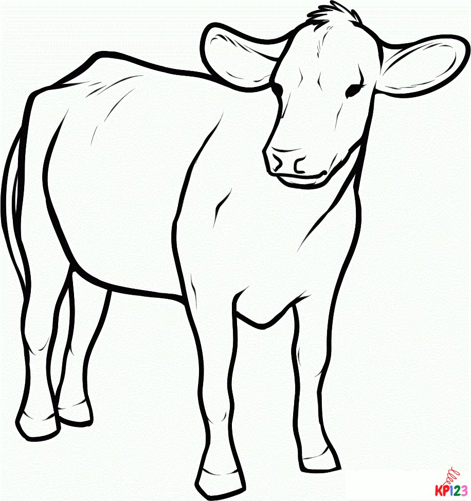 Koeien 9