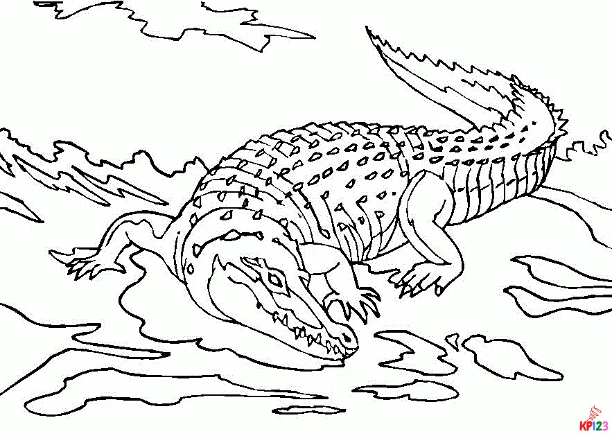 Krokodil 3