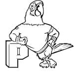 Papegaai 6 thumbnail
