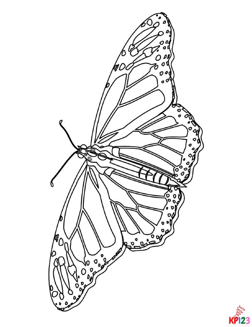 Vlinders 21
