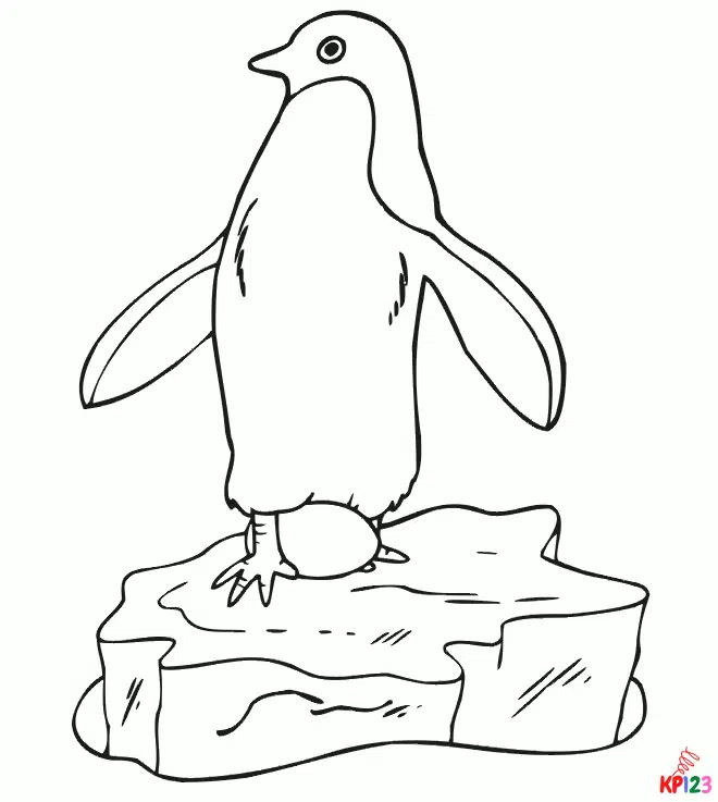 Penguins 20
