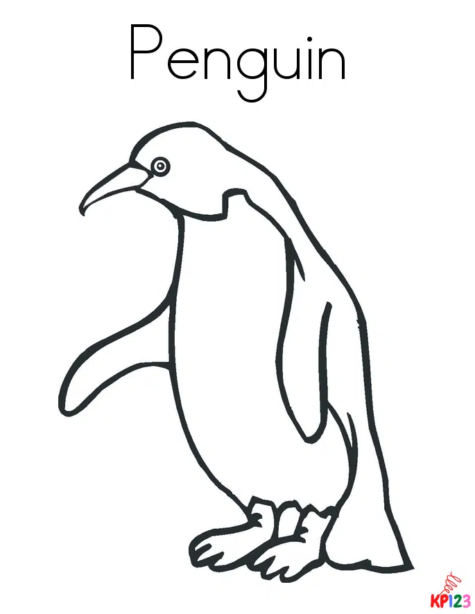 Penguins 19