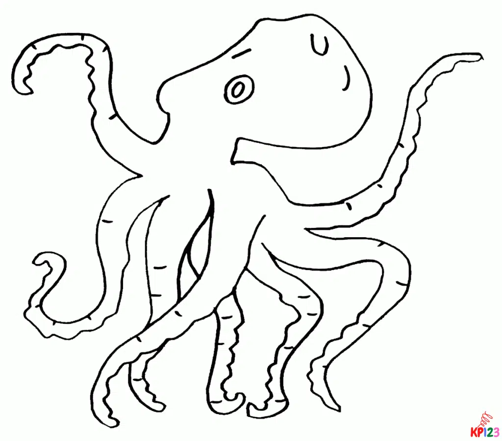 octopus 14