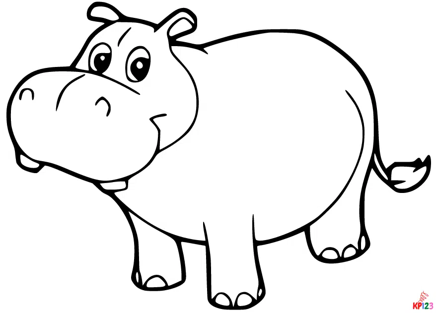 Nijlpaard 6