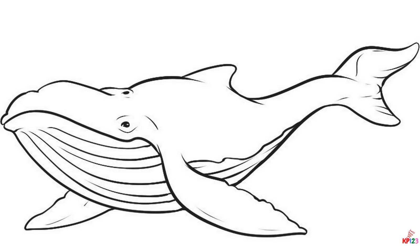 walvis 4