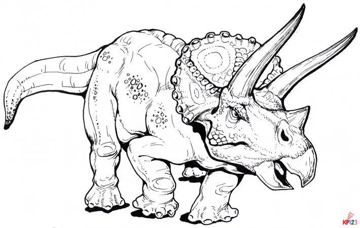 triceratops12