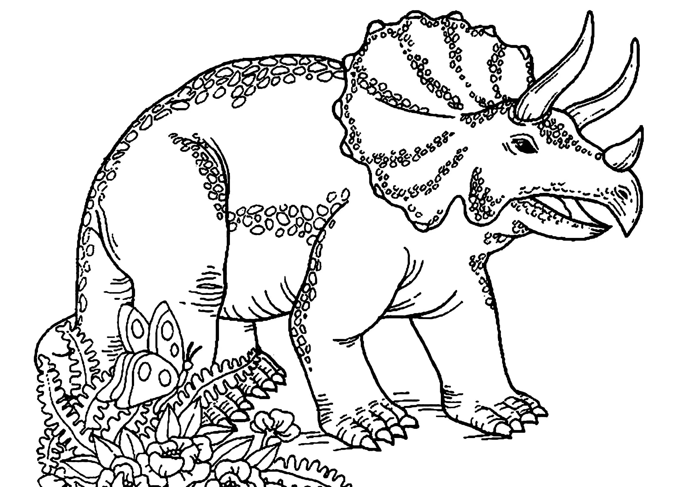 triceratops 16