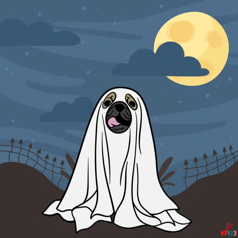 Spook thumbnail