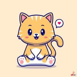 Kitten thumbnail