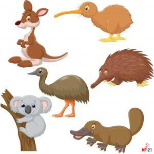 Australische Dieren thumbnail